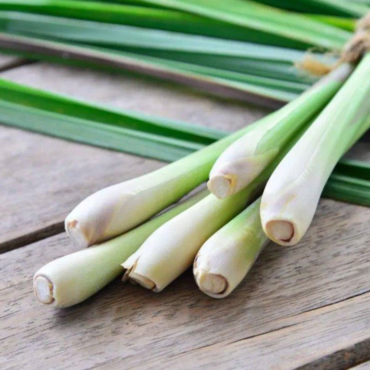 Lemongrass